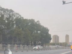 -安飞驰驾校·学车连锁(金高店)