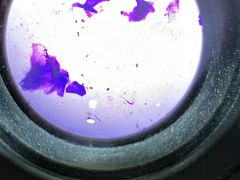 -嘉馨宠物医院·CT影像转诊·心脏科·犬猫全科诊疗中心(下沙大学城院区)