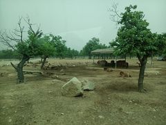 -西安秦岭野生动物园