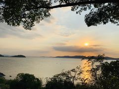 -上海市保健医疗中心