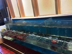 水产区-虾胡闹·澳洲小龙虾·烧烤(福田鲨鱼店)