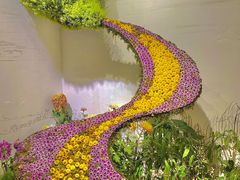 -杭州植物园