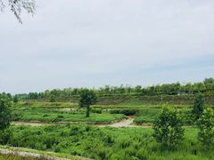 -洨河生态公园