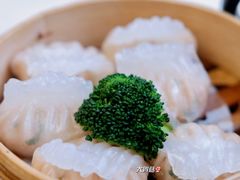 饺子-南珠宫酒店-茶餐厅