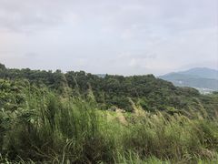 -青礁慈济宫