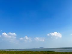 -合肥滨湖国家森林公园