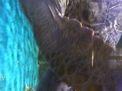 -多彩贵州城极地海洋世界