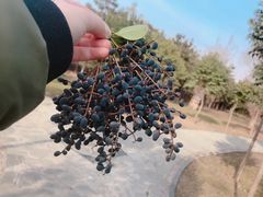 -秦文明广场