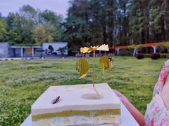 -积慕Cake(解放大道店)
