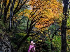 -叠溪松坪沟景区