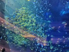 -成都浩海立方海洋公园