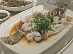 鲈鱼-朱仔记食府(江南大道店)