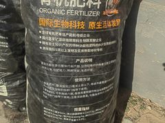-大自然农场蔬菜草莓采摘园