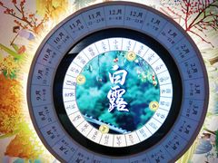 -南京民俗博物馆(甘熙故居)