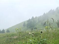-蔚县茶山村
