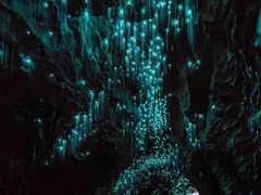 -霍比特人村