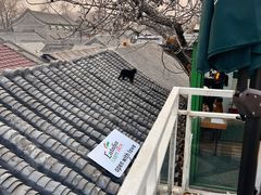 -EATALIA意塔利意式餐厅(鼓楼店)