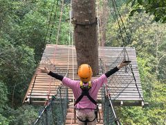 -清迈丛林飞跃 JungleFlight