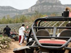 -南山特攻真人CS户外露营轰趴拓展基地