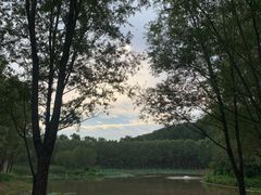 -东郊湿地公园