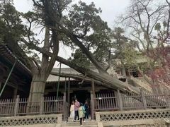 -晋祠公园