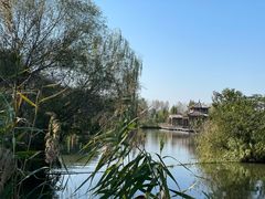 -溱湖国家湿地公园