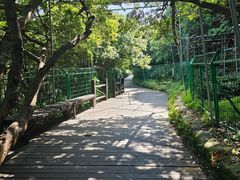 -树山生态村