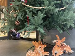 -小西家作(富力爱丁堡店)