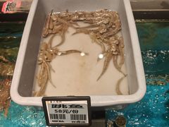 -甬上名灶(天一阁·翠柏店)