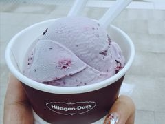 -哈根达斯(西安高新店)