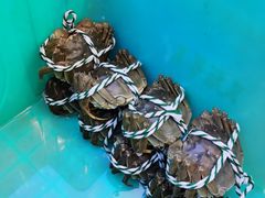 -蟹天蟹地农家菜·阳澄湖大闸蟹(浅水湾店)