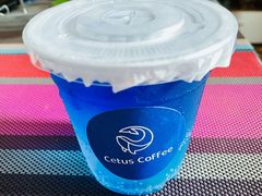 -Cetus coffee鲸鱼座咖啡·拼豆(二仙桥公园店)