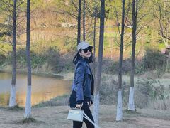 -神光山国家森林公园