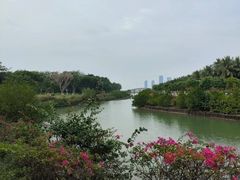-万绿园