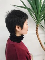 -Y-STUDIO原理