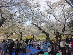 -井之头恩赐公园