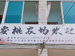 -老袁家蜜桃农场·阳山水蜜桃