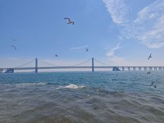-星海广场