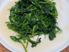 -鸽子窝(青塔店)