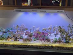 -街角等你.大连海鲜烧烤(西安路店)
