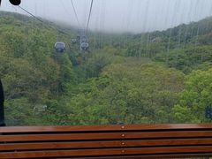 -普陀山风景区-佛顶山