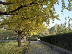 -德全心悦酒店(北京金台路地铁站店)