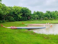 -上海海湾国家森林公园