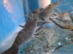 -Thai Basil罗勒叶泰式餐厅(时代天街店)