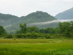 -大九湖