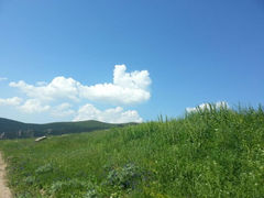android_upload_pic-蔚县茶山村
