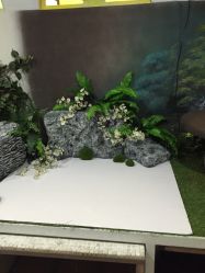 -亲亲宝贝艾尔莎亲子摄影会馆(中华路店)