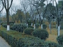 -汉长安城未央宫国家考古遗址公园