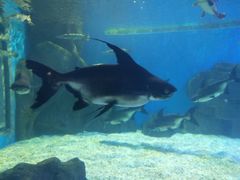 -多彩贵州城极地海洋世界