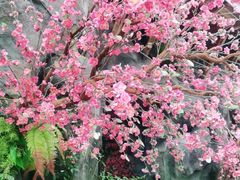 -寻钵记民菜馆·正宗常德钵子菜(滨湖路店)